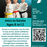 ymca karate.png