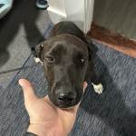 IMG_0201.jpeg