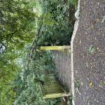 IMG_7439.jpeg