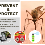 PREVENT & PROTECT.png