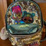 Lost Backpack 11-11-24.jpeg