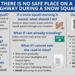 Snow Squall Info.png