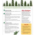 ChristmasTreeSafetyTips.jpeg