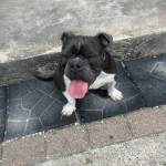 IMG_3871.jpeg