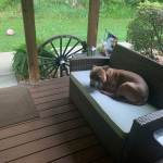 IMG_2479.jpeg