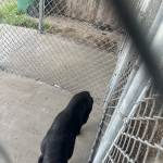 IMG_8113.jpeg