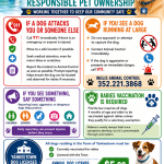 Dog Safety Poster.png