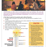 Firework Safety Tips.png