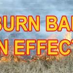Burnban.jpeg