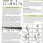Planting guide 1.jpeg
