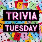 Trivia Tuesday.jpeg
