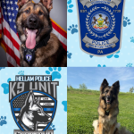 K-9 Gun Bingo Post for HTPD social.png
