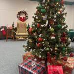 picture of tree.jpeg