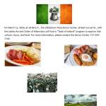 taste of ireland.jpeg