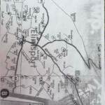 IMG_4137.jpeg