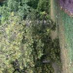 IMG_7442.jpeg