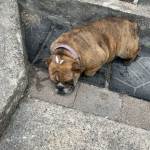 IMG_3873.jpeg