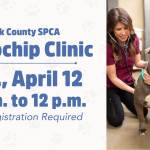 Microchip Clinic.jpeg