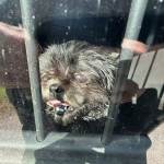 IMG_0613.jpeg