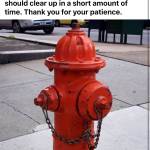 IMG_0699.jpeg