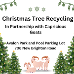 Christmas Tree Recycling (1).png