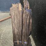 IMG_7766.jpeg