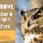 Owl Prowl 2025.png