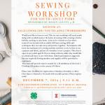 Youth adult sewing workshop.jpeg