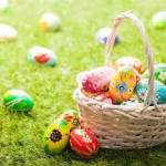 Easter Egg Hunt.jpeg