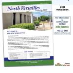 North Versailles Newsletter Flyer.jpeg