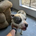 IMG_2169.jpeg