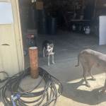 IMG_2853.jpeg