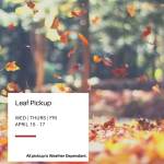 leaf pickup graphic.jpeg