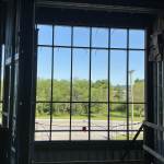 IMG_0933.jpeg