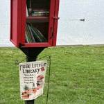 Free Little Library.jpeg