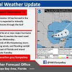 NWS_Tampa Oct 5.jpeg