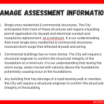 Damage Assessment Information.png