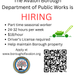 DPW Summer Help 2025 (1).png