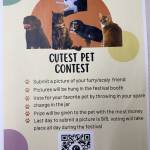 IMG_3903.jpeg