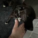 IMG_0199.jpeg