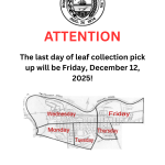 Last Day of Leaf Collection  (1).png