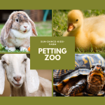 Petting Zoo.png