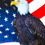 American-Eagle-1-1200x834.jpeg