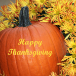 Happy Thanksgiving.png