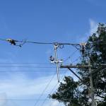 IMG_1065.jpeg