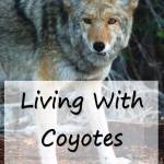 Living with Coyotes.jpeg