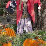 scarecrow1.jpeg