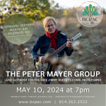 Peter Mayer Group ad.png