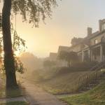 Crafton Morning Mist.jpeg