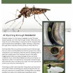 July LCD Newsletter.jpeg